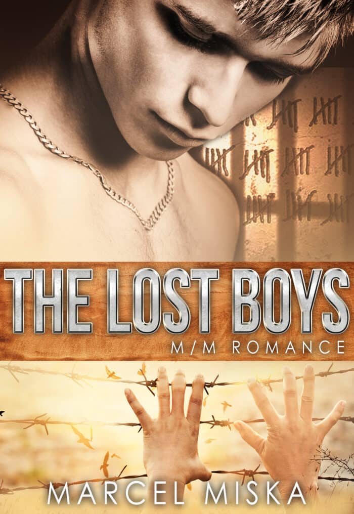 The Lost Boys Book Cover